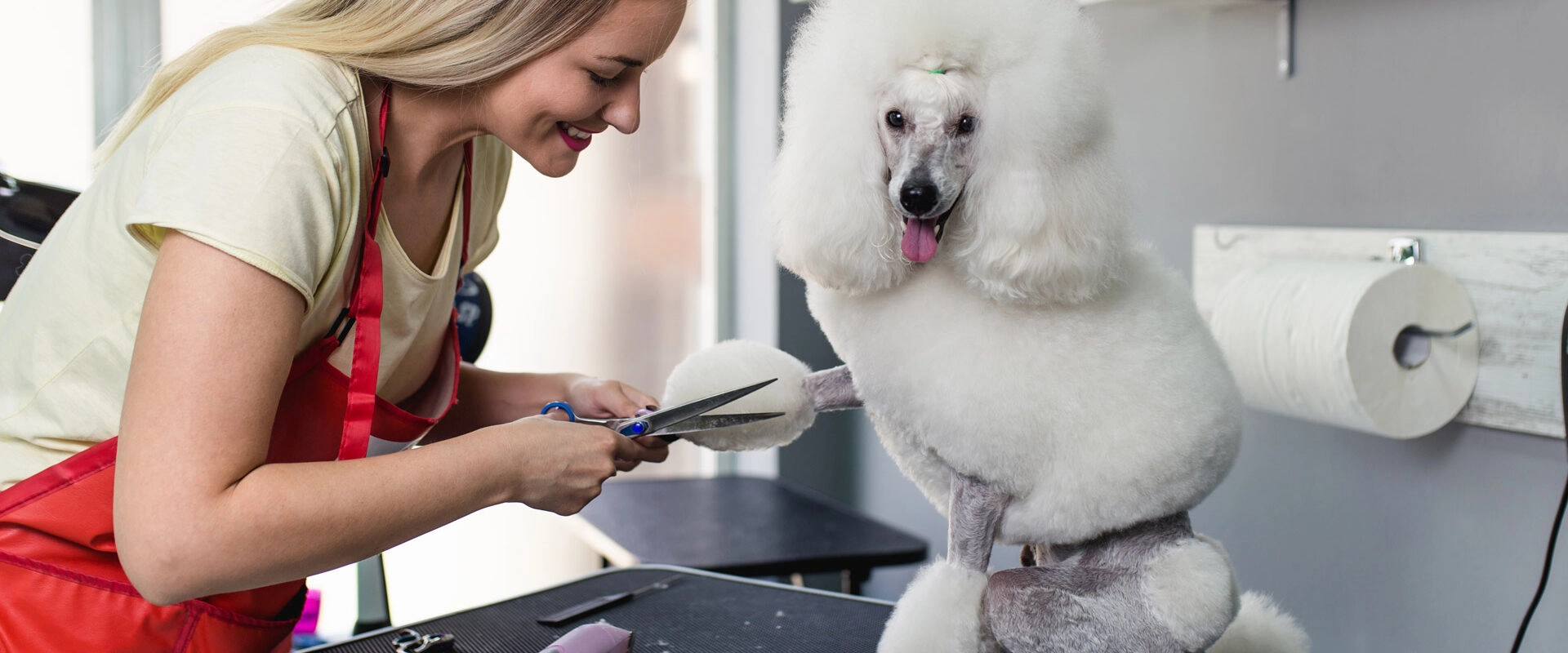 Tierpflegesalons